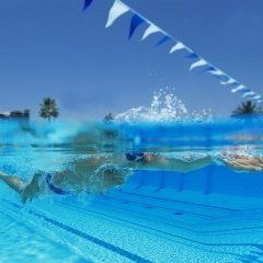 gallery/swimm_photo3